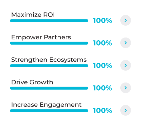 Graph Overlay - Maximize ROI 100%, Empower Partners 100%, Strengthen Ecosystems 100%, Drive Growth 100%, Increase Engagement 100%